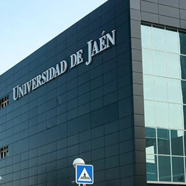 Erasmus+ cooperation with the University of Jaén from Spain